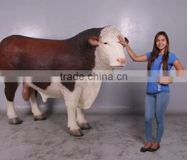 Hereford Bull photo-5