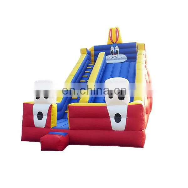 Used Inflatable Water Slide for Water Sport photo-5