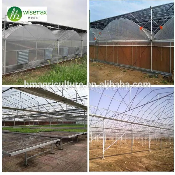 China Factory Plastic Film Covering Multi Span Tunnel Greenhouse photo-2