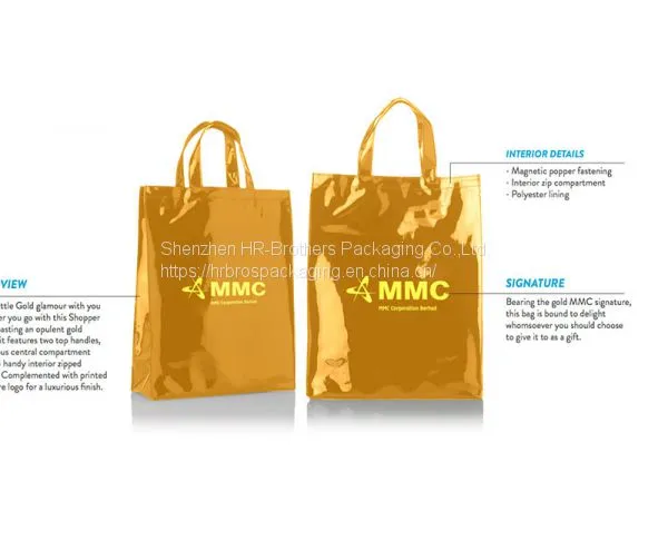 Fashion Design Clear PVC Plastic Ice Bag Chiller Bag Wine Travel Handbag Promotion photo-2