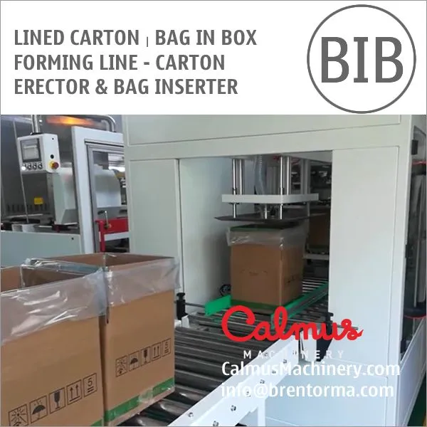 Case Erector and Bag Inserter For Forming Lined Cartons photo-5