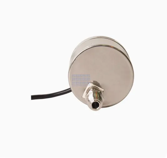 63MM Axial EP Grade Ultra-high Purity Explosion-proof Electric Contact Pressure Gauge photo-2