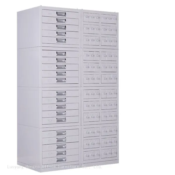 Public Health Agency Paraffin Block Cabinet - Epidemiological Sample Storage for Disease Surveillance Supplier photo-3