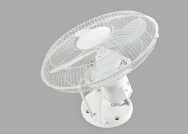 Coach Fan Train Fan
