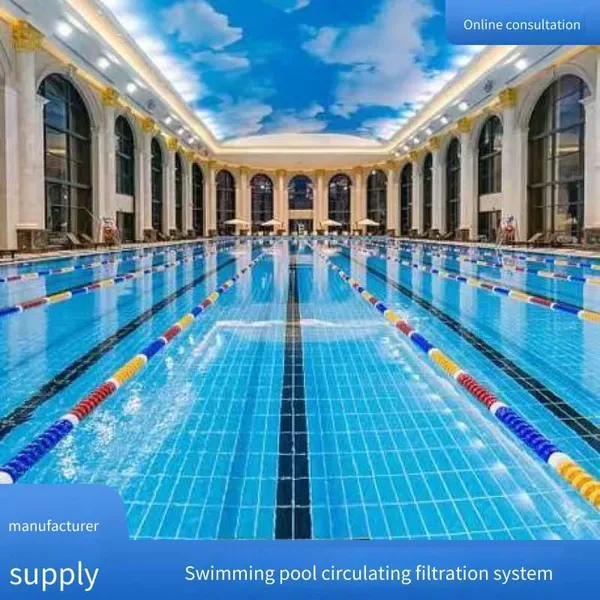Complete One-stop Swimming Pool Equipment Including Hair Strainer and Circulation Pump photo-3