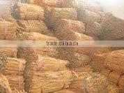 CIGARET CASSIA (CINNAMON)