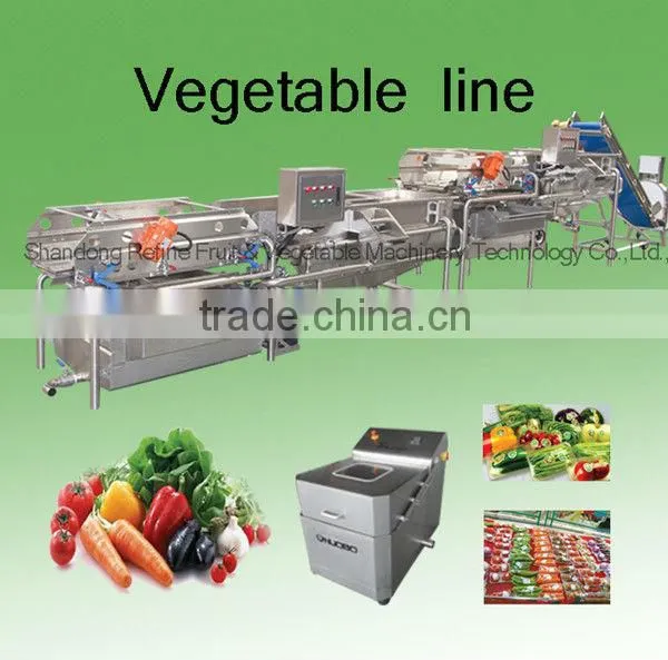 Automatic Vegetable Processing Line/salad/IQF