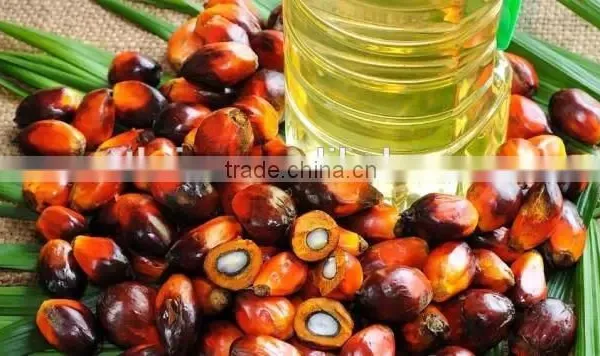 Big Capacity Auto Palm Kernel Crushing Machine/palm Kernel Cracking Machine photo-5