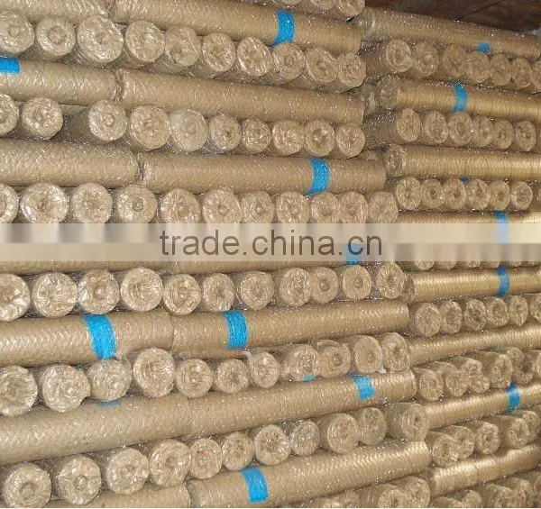 Anping Galvanized Hexagonal Wire Mesh/ Chicken Wire / PVC Coated Chicken Fence photo-3