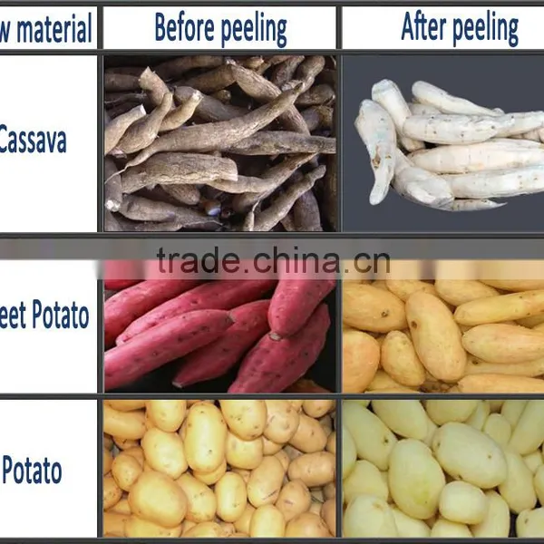 Automatic Cassava Peeling and Washing Machine/cassava Peeling Machine photo-6