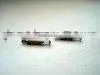 Glass RFID Transponders for Animal