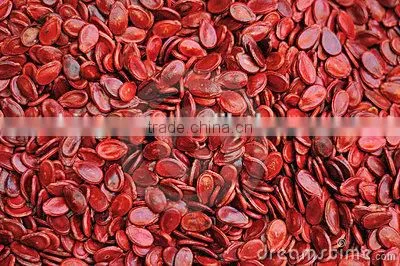 Supply Melon Seeds , Good Quality Red Watermelon Seeds Kernels for Sale photo-4