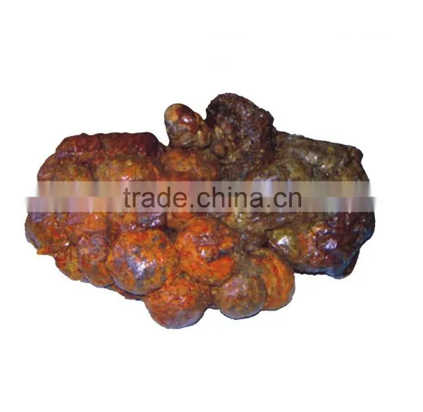 High Quality Bee Propolis/bee Propolis Powder photo-2