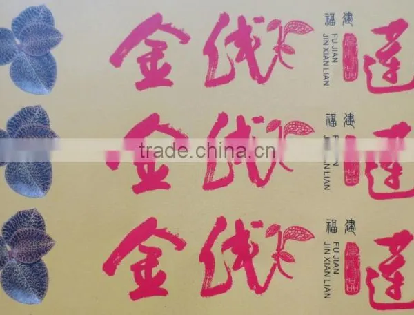 Offset Printing Service,art Paper Boarder Printing, photo-2