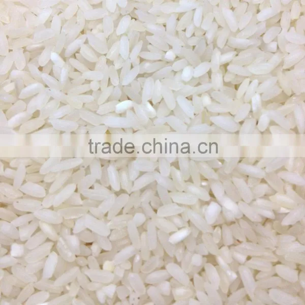 Short Grain White Rice Manufacturer