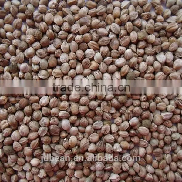 2015 Whole Hemp Seeds Good Grade photo-4