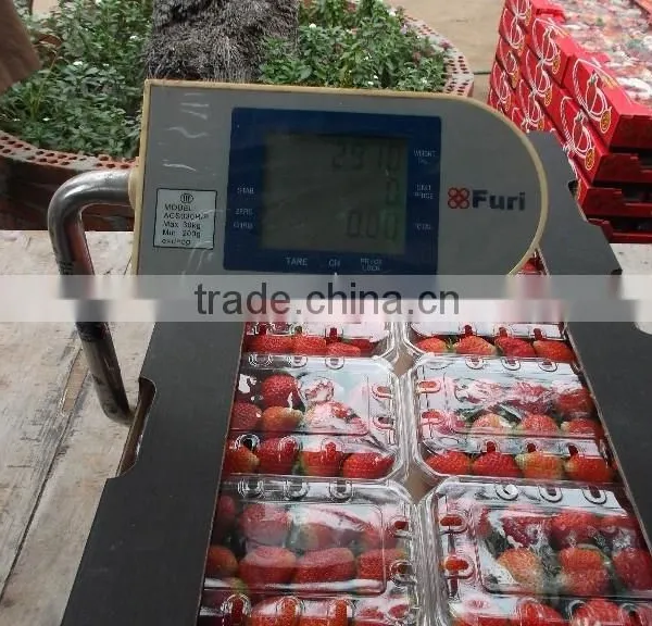 Egyptian Frozen Strawberry photo-4