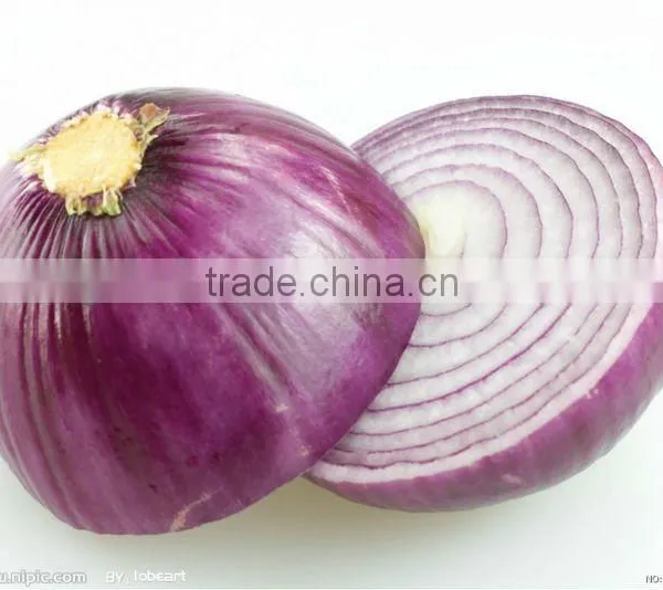 Fresh Red Big Onion (onoion)