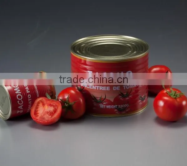 Concernate Tomato Ketchup Production photo-4