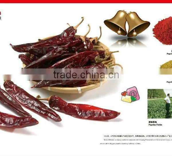 HACCP FDA KOSHER Certified Sweet Whole Paprika Pods photo-6