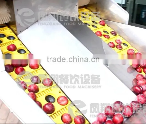 High Quality Plum Stoner, Plum Pitter, Plum Corer With CE Certificated photo-4