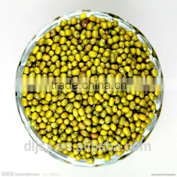 JSX Origin Yellow Mung Bean Price Sprouting Type First Class Mung photo-4