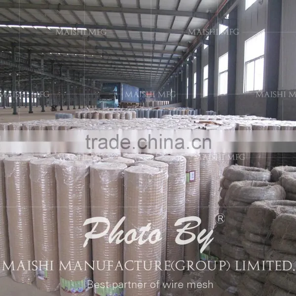 PVC Coated Welded Wire Mesh photo-4
