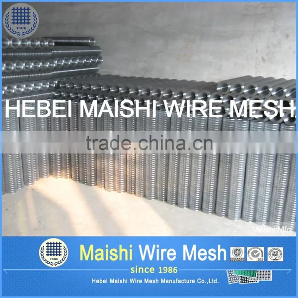 GI Welded Wire Mesh photo-2