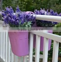 Wall-mounted Flowerpots for Home Use < SG1523>