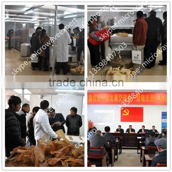 New Advanced Pig Skin Microwave Puffing Machine/puffed Pork Rind Machine/microwave Puffing Machine photo-2
