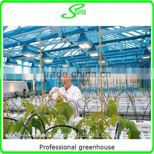 High Qulity New Style Hydroponic System photo-3