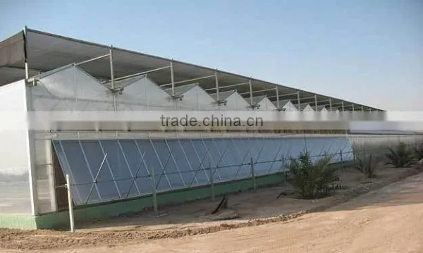 Polycarbonate Sheet Greenhouse-3