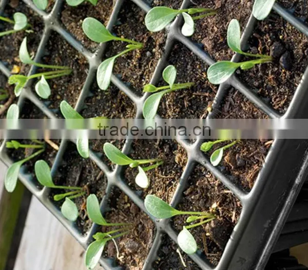 China Supplier PS Material 21,32, 50, 72, 98, 105, 128 150 162 200 288 Cells Plastic Trays Plant Nursery photo-2