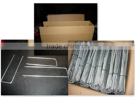 Sod Staples