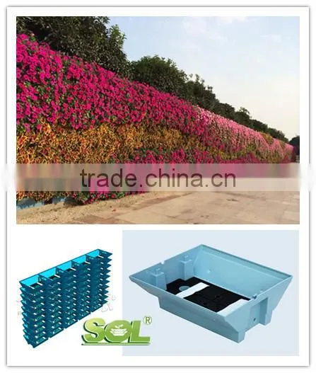 2015 SOL Colored PLASTIC Vegetable Container Automatic Watering Pot photo-5