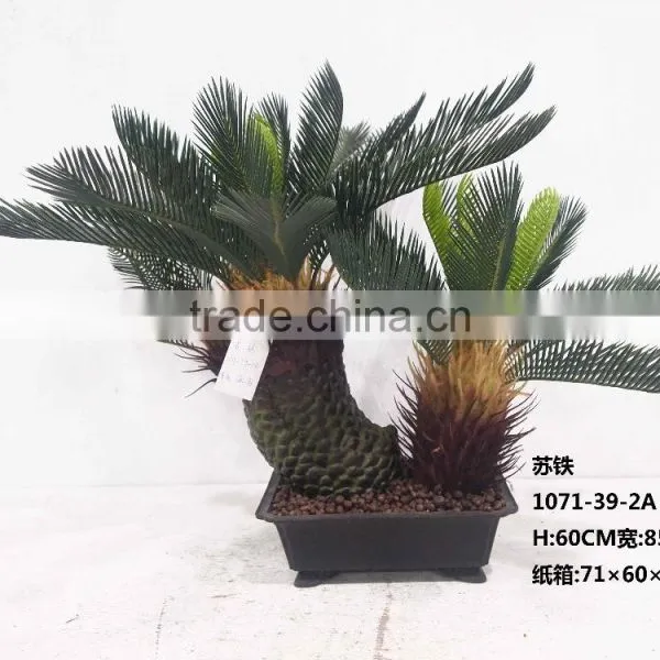 1071-32 Plastic Pot Cycads Tree photo-3
