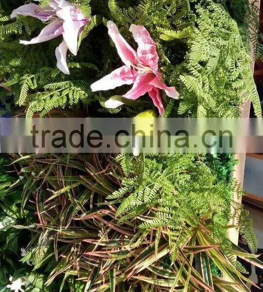 Made in China Grass Flower Wall Artificial Plants Wall for Garden and Interior Decoration photo-3