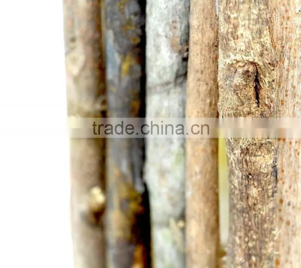 Wooden Pen Holder. Wood Branch Pen Pot, Square Wood Pen Holder photo-3