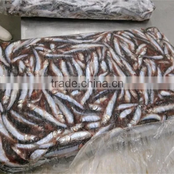 Good Quality Frozen Whole Anchovy for Sale photo-2