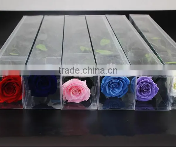 Fresh Cut Flowers Roses Long Lasting Big Rose Flower With Stem