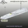 High Bay Luminaire 120-277V With Wire Guard