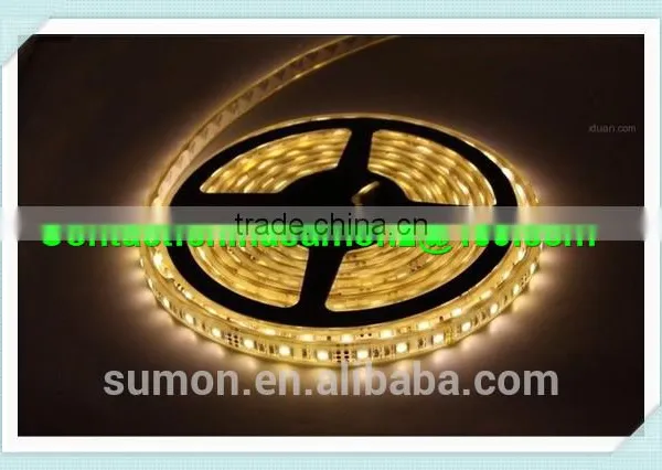 China Supplier SMD Holiday LED Lighting 110 220V 60leds/m Dmx Rgb Led Strip Light photo-2