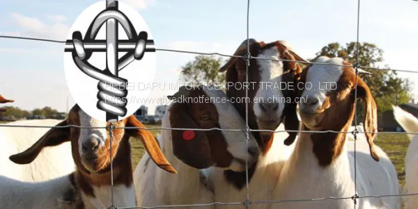 High Quality Fixed Knot Wire Mesh Goat Fence Panel