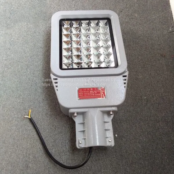 HRD9 Maintenance-free Explosion-proof LED Road Lamp High Efficiency Explosion-proof Street Lamp Pole photo-5