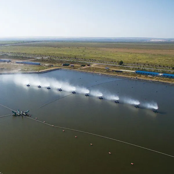 Evaporation Pond Concentrated Brine Evaporator, Power Plant Floating Mechanical Atomization Evaporator, Accelerated Natural Evaporation photo-4