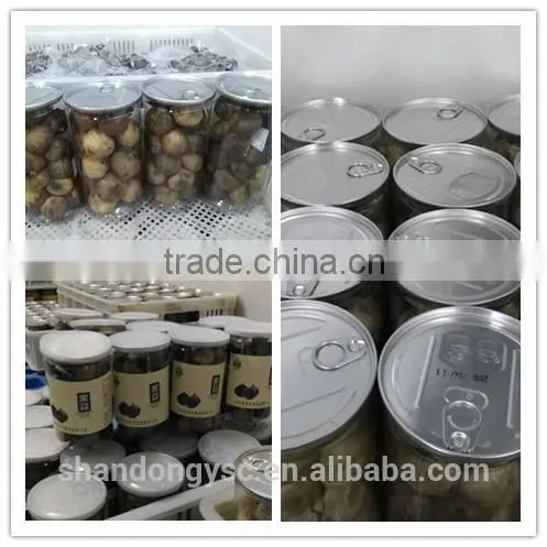 Good Quality Black Garlic photo-5