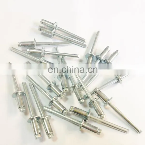 Free Sample Rivets All Stainless Steel 304/316 Large Head Flat Head Blind Rivets photo-3