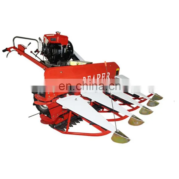 Hot Sale Agricultural Equipment Harvester Machine Price Wheat Cutting and Binding Machine photo-3