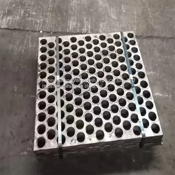 Building Metal Plate Punching Plate Round Hole Iron Mesh photo-4