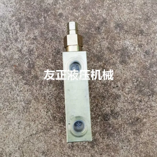 Hydraulic Parts Valve Block Balance Valve Lock Valve H5006N403S0300 Series Made in Ltaiy Youzheng NEM photo-2
